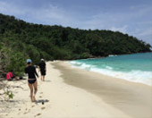 Twin Beaches Between 2วัน1คืนเกาะบรูเอ้อ