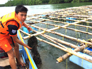 Local Life Tour นั่งเรือ ล่องแพ ชมธรรมชาติ ทานซีฟู้ด