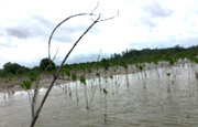 Local Life Tour นั่งเรือ ล่องแพ ชมธรรมชาติ ทานซีฟู้ด