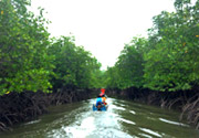 Local Life Tour นั่งเรือ ล่องแพ ชมธรรมชาติ ทานซีฟู้ด