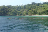 เกาะดอกไม้ ทะเลพม่า Flower Island