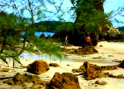In On The Beach In On The Beach