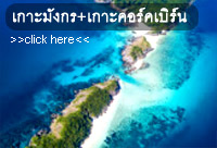 The best return: เกาะค๊อกเบิร์น เกาะมังกร