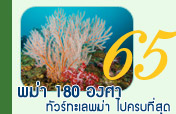 พม่า 180 องศา ทัวร์ทะเลพม่า ไปครบที่สุด