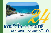 3วัน2คืนเกาะหัวใจมรกตเกาะซาลิ