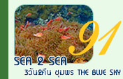 Sea 2 Sea ชุมพร The Blue Sky 3วัน2คืน