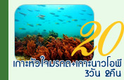 3วัน2คืนเกาะหัวใจมรกตเกาะนาวโอพี