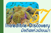 Incredible Discovery มัลดีฟแห่งเมียนม่า