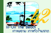 In-On the Beachเกาะพยามเกาะหัวใจมรกต