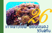 3วัน2คืนเกาะนาวโอพีนอนระนอง