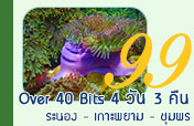 Over 40 Bits : 4วัน3คืน ระนองพยามชุมพร