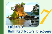 เกาะพยาม Unlimited Nature Discovery