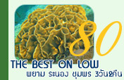 The Best on Low พยามระนองชุมพร