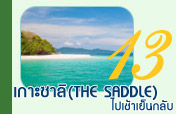 เกาะซาลิ Sali Island Day Trip