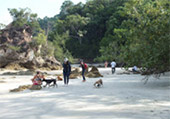 เกาะพยาม Rolling on Beach