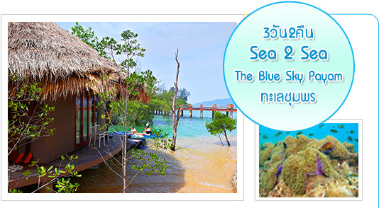 Sea2Sea 3วัน2คืน ทะเลชุมพร+Blue Sky