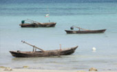 เกาะซาลิ Sali Island Day Trip