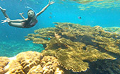 เกาะซาลิ Sali Island Day Trip