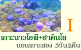 3วัน2คืนเกาะนาวโอพีเกาะฮาคินโย