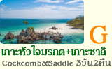 3วัน2คืนเกาะหัวใจมรกตเกาะซาลิ